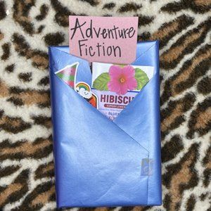 Blind Date with a Book - Hardcover Adventure Fiction